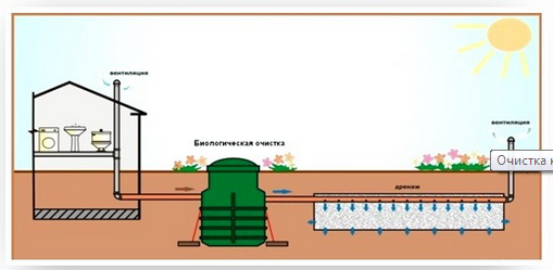 Дом баня с мансардой из бревна проекты