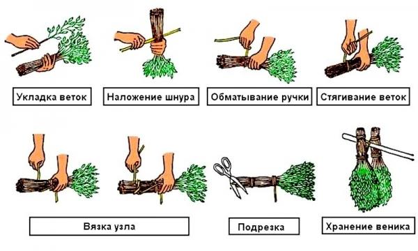 Заготовка березовых веников для бани