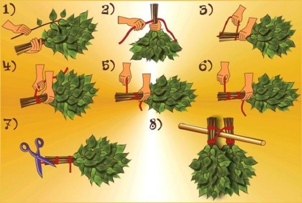 Какие бывают веники для бани