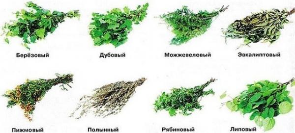 Как правильно париться в бане для здоровья