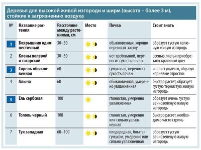 Живая изгородь на даче своими руками: какие растения лучше выбрать, пошаговый процесс монтажа