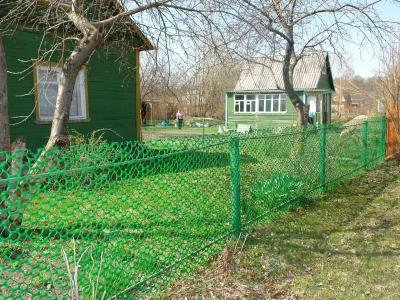 Живая изгородь на даче своими руками: какие растения лучше выбрать, пошаговый процесс монтажа