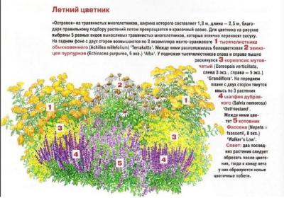 Цветники на даче своими руками: оригинальные идеи по оформлению красивых цветников для начинающих