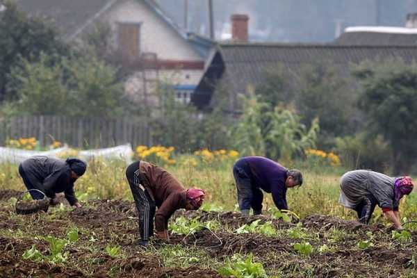 Есть ли жизнь в деревне? 11 причин, почему нужно отказаться от переезда в частный сектор