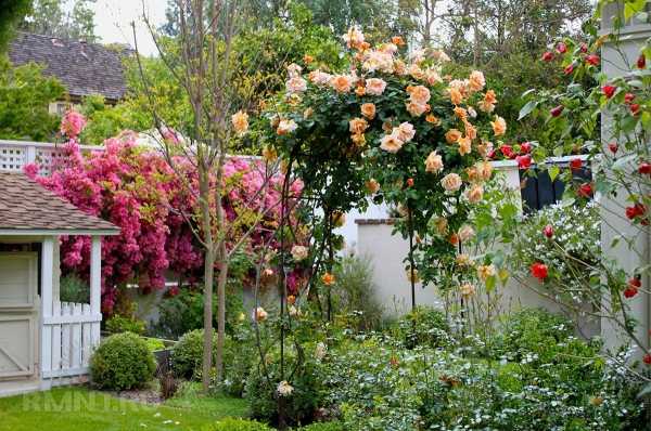 





Как обустроить романтический сад на участке



