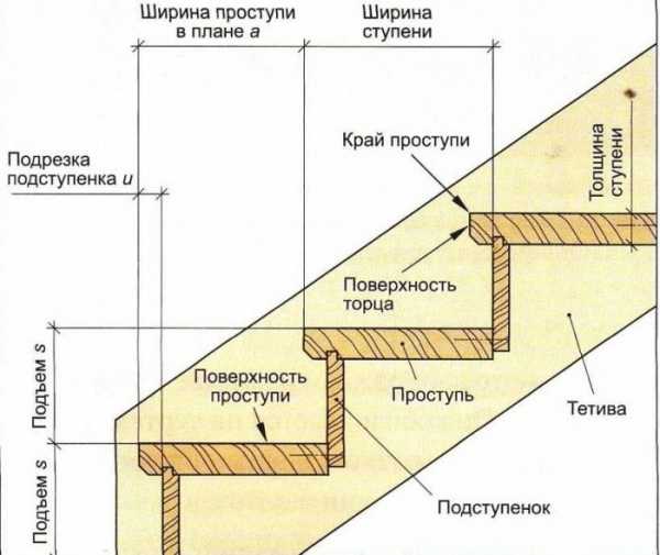 Сколько места занимает лестница: разновидности конструкций и простой расчет