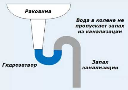 Сифон для мойки: конструкция, назначение, особенности монтажа своими руками