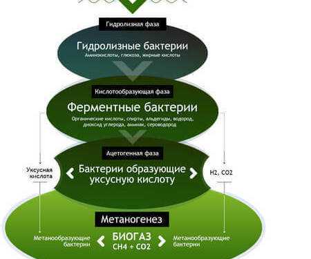 Устройство, преимущества и недостатки, проектирование биогазовых установок