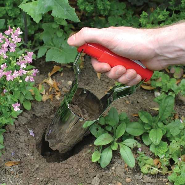 Топ-5 современных инструментов для садоводства