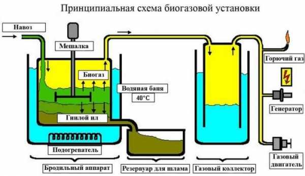 Устройство, преимущества и недостатки, проектирование биогазовых установок