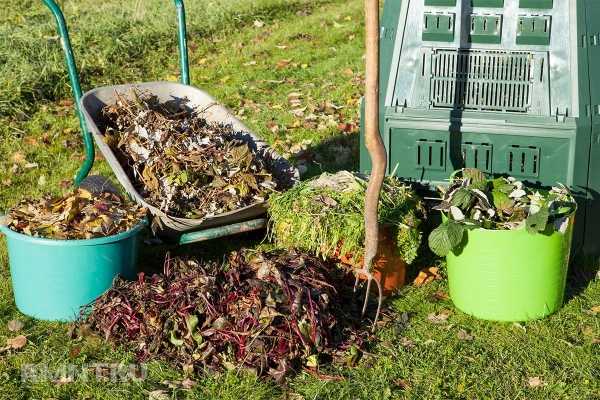 





Что можно класть в компостную кучу, а что не стоит



