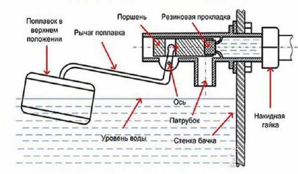 Устройство бачка унитаза: виды конструкций, главные элементы и ремонт