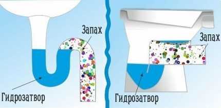 Запах из канализации в квартире: виды технических неисправностей и способы их устранения