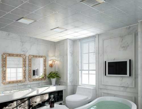 Какой потолок лучше сделать в ванной – советы по выбору варианта отделки. Дизайн потолка в ванной: выбор материалов и разновидности конструкций