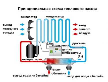 Как выбрать насос для бассейна: сравнительный обзор различных видов агрегатов