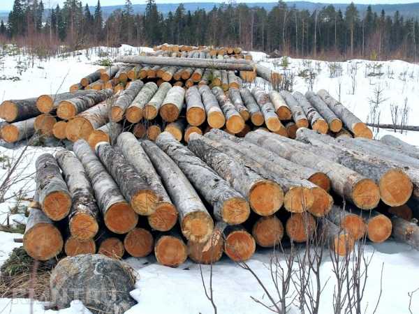 





Дома из кело: особенности и преимущества



