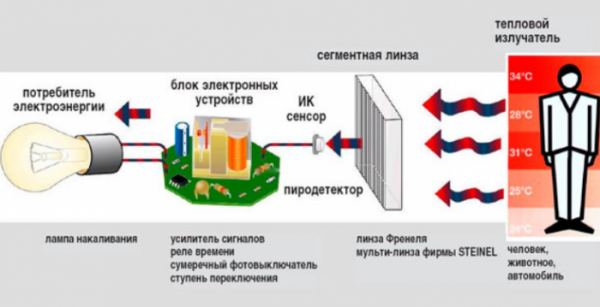 Как подключить датчик движения к лампочке: схемы, подключение, настройка и монтаж