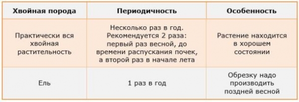 Разновидности живых изгородей и какие растения выбирать