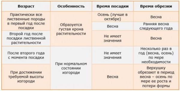 Разновидности живых изгородей и какие растения выбирать