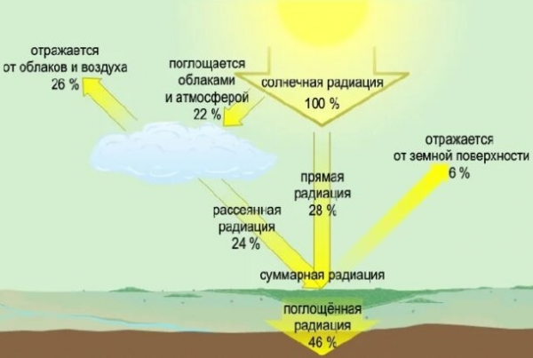 9 советов по выбору пляжного зонта для защиты от солнца